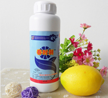 杀木虱蓟马粉虱农药
